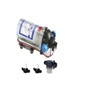 Shurflo 100 PSI Pump With  Strainer and Straight Connectors Set