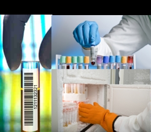 Clinical Trials Labelling Solutions