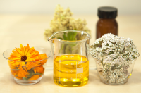 Botanical Extracts supplier in the UK