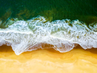 UK Supplier of Carrageenan