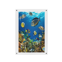 A0 Clear Wall Mounted Photo Frames