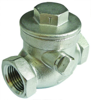 St/St Swing Check Valve