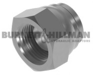 BSPP Swivel Blanking Cap