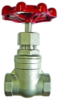 St/St Gate Valve