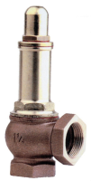 Adjustable Brass/Bronze Spring Safety Relief Valves Capped