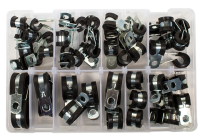 St/Steel P Clip EPDM Selection (Avg 53 Pieces)