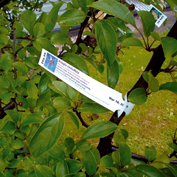 Laserplas Self Tie Plant Labels