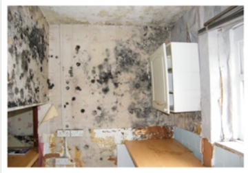 Mould Reduction Solutions In Oldham