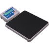 WPT series personal scale EC approved Class (III)