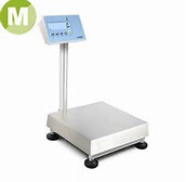 Stainless Steel Bench And Floor Scales