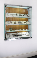 Glass Display cabinets For Wall Mounting