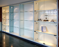 Glass Wall Museum Display Cabinets