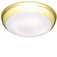 28w 2D High Frequency Emergency Bulkhead Light With A Brass Trim