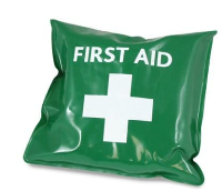 Cheap First Aid Kit in Green Vinyl Pouch for One Person