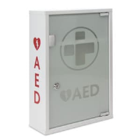 AED Wall Cabinet with Glass Door