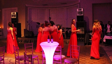 Party Sound System For Weddings