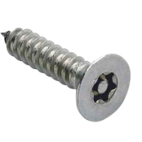 PIN TORX COUNTERSUNK SELF TAPPING SCREW  A2 ST/ST