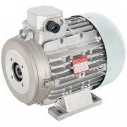415V Electric Motor - 10.0 Hp - 1450 Rpm