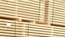 Timber Wood Kiln Manufacturer