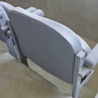 VIP Upholstered Stadium Seating