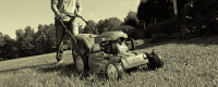 NPORS 604 - Grass Cutters / Mowers Courses