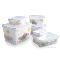 2.4 LitreRectangular Plastic Food Box With Clip Lid