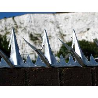 Razor Spike 11 - Anti Climb Spikes - 1.5 metre length - galvanised finish