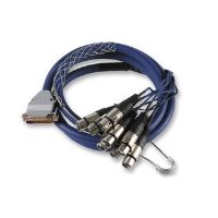 Audio Link Loom Cable - DB25 to 8 x Female XLR - 2m