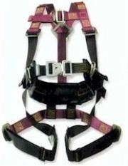 IPAF Safety Harness Training