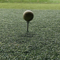 Artificial Surfaces For Golf