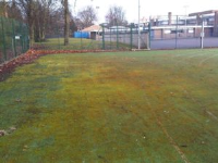 Artificial Turf Moss And Algal Chemical Treatments