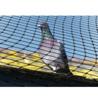 Bird Control Netting Suppliers
