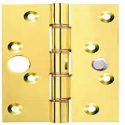 Security Bolt Double Phosphor Bronze Washered Brass Security Hinges