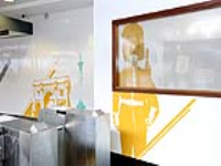 Translucent Printed Window Films