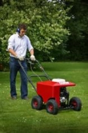 Petrol Lawn Aerator In The New Forest