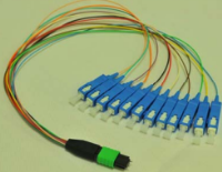 MPO Patch Cord