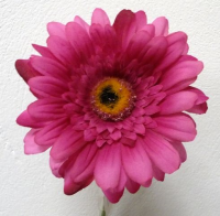 Artificial Silk Gerbera Classic Flowers - 63cm, Cerise