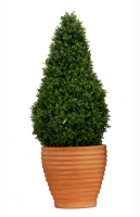 Artificial Boxwood Tower - 120cm, Green