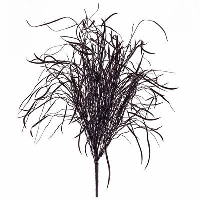 Artificial Long Grass Bush UV - 64cm, Burgundy