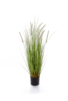 Artificial Dogtail Grass - 120cm, Green