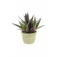 Artificial Agave in a Medium Pot - 23cm, Red/Green