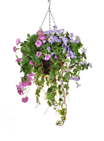 Artificial Silk Petunia Mixed Hanging Basket - 72cm, Pink/Lilac