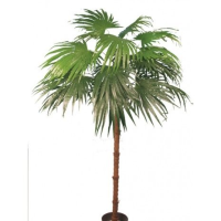 Artificial Silk Chinese Fan Palm Tree - 183cm, Green