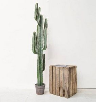 Artificial Cactus Plant with Brown Pot - 157.5cm, Green