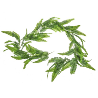 Artificial Boston Fern Garland - 180cm, Green