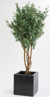 Artificial Eucalyptus Tree - 150cm, Dusty Green