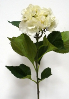 Artificial Large Silk Hydrangea Single Stem - 85cm, Cream