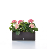 Artificial Silk Hydrangea Trough  - 50cm x Pink/White in a Black Trough