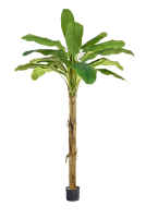 Artificial Banana Tree - 240cm, Green