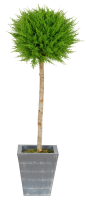 Artificial Cedar Single Ball Tree in Lead Look Planter - 120cm, Green